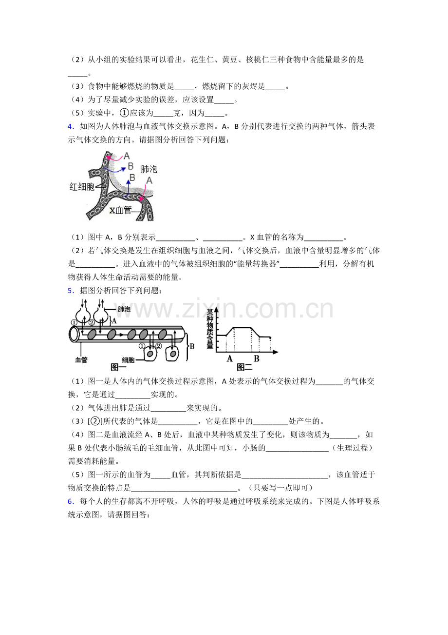 人教七年级下册生物期末解答实验探究大题测试含解析.doc_第2页