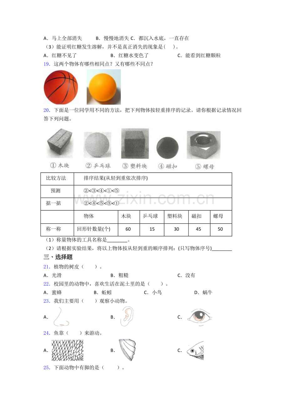 科学一年级下册期末试卷复习练习(Word版含答案).doc_第3页