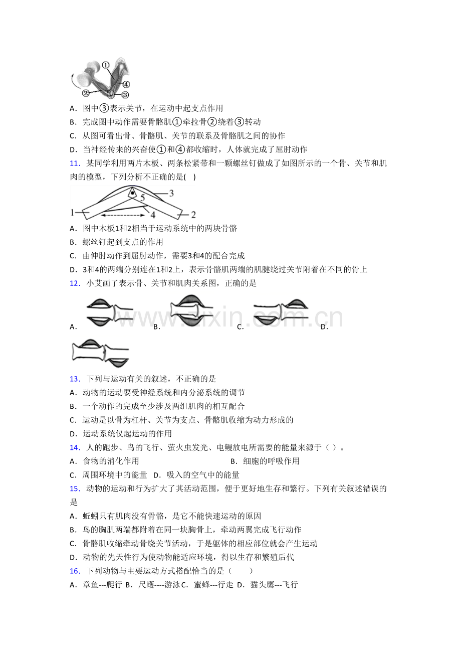 初二上册期末模拟生物检测试题(一).doc_第2页