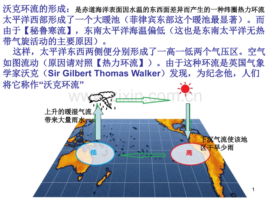 沃克环流.ppt_第1页