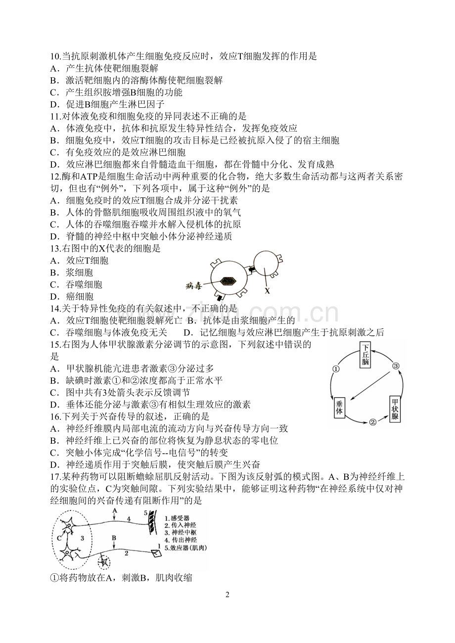 动物生命活动调节试题汇总及答案.doc_第2页