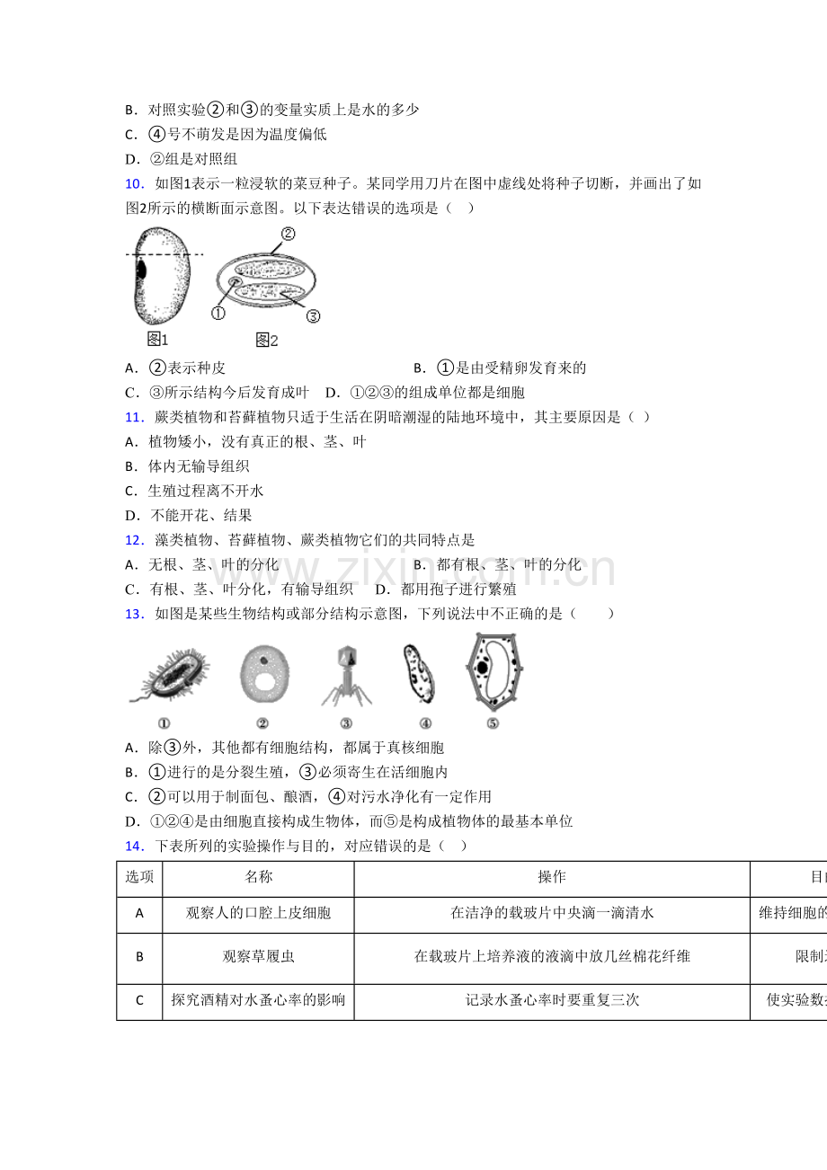 七年级生物上册期末模拟综合试题带答案-(2).doc_第3页