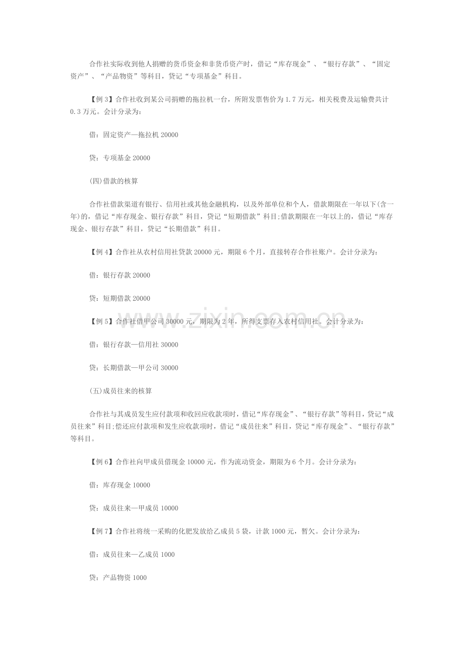 农业合作社账务.docx_第3页