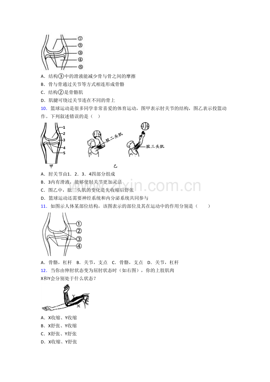 初二生物上学期期末模拟质量检测试题(一).doc_第2页