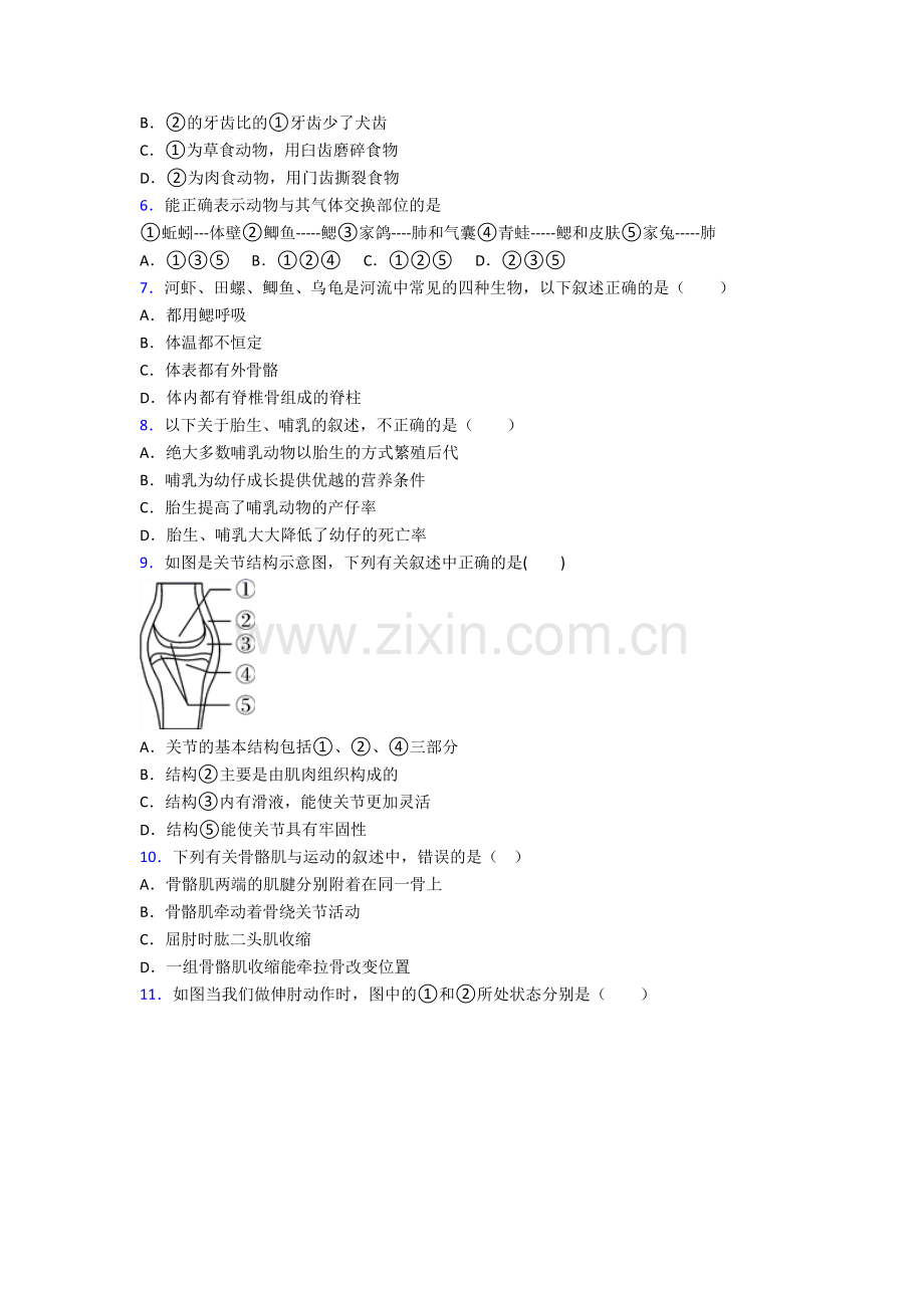 上海杨思中学八年级上册期末生物试卷含答案.doc_第2页