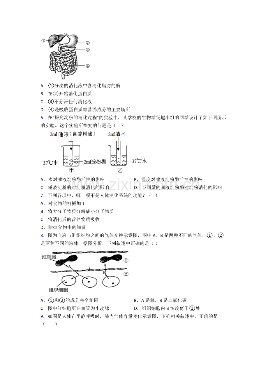 人教版中学七年级下册生物期中复习(及解析).doc_第2页