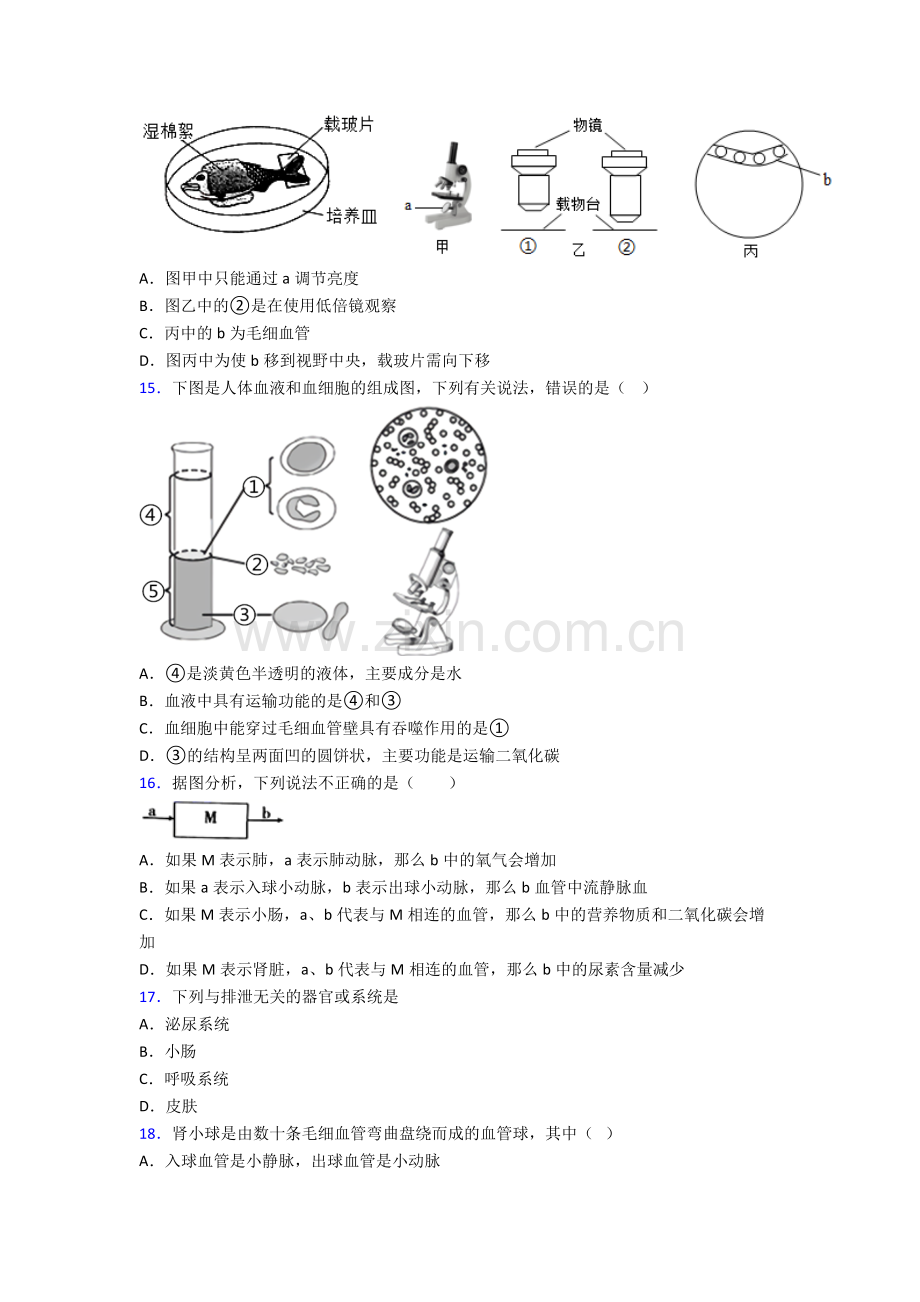 2023年人教版初一下册生物期中综合复习卷附答案word.doc_第3页