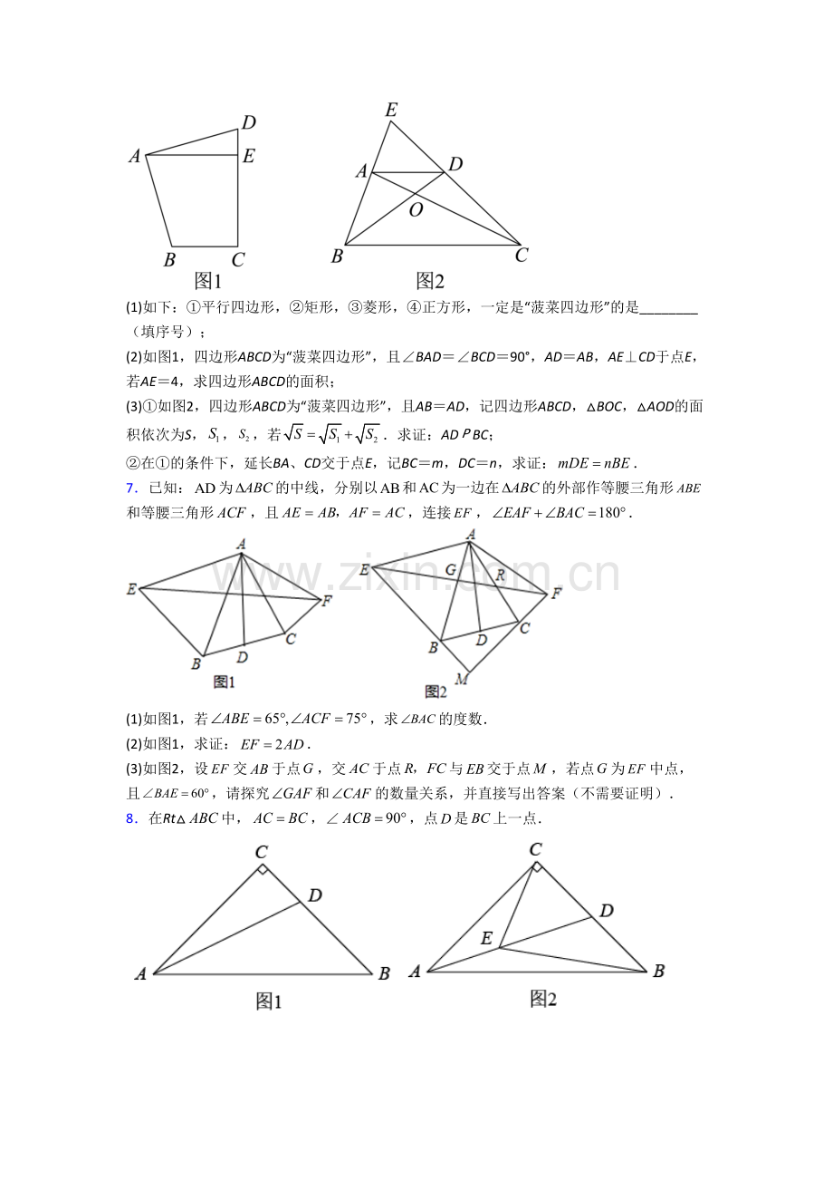 初二上学期压轴题数学质量检测试卷[003].doc_第3页