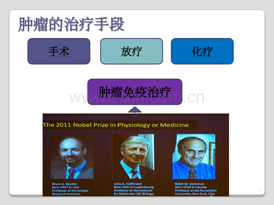 肿瘤免疫治疗.ppt_第3页