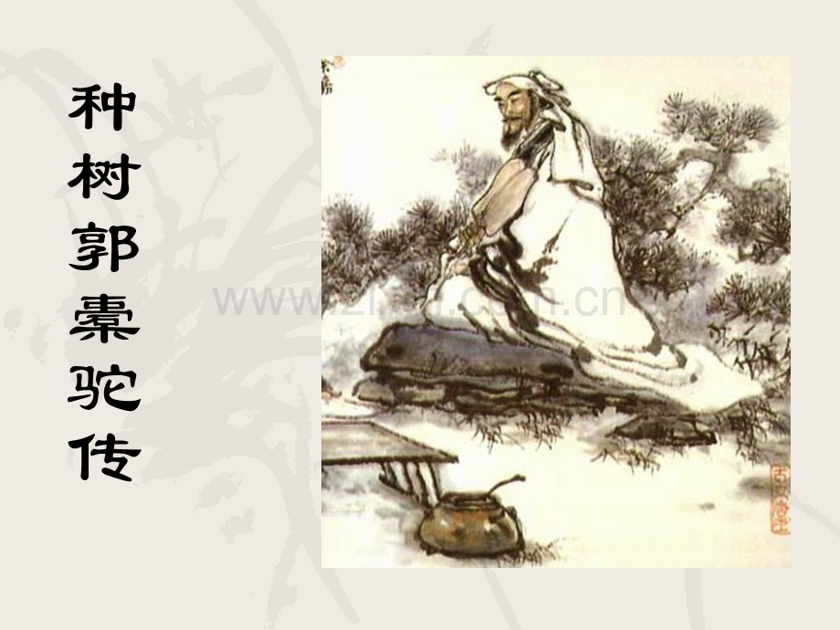 种树郭橐驼传教学用.ppt_第1页