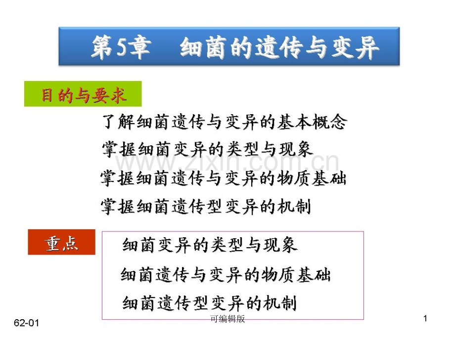 细菌的遗传变异(1).ppt_第1页