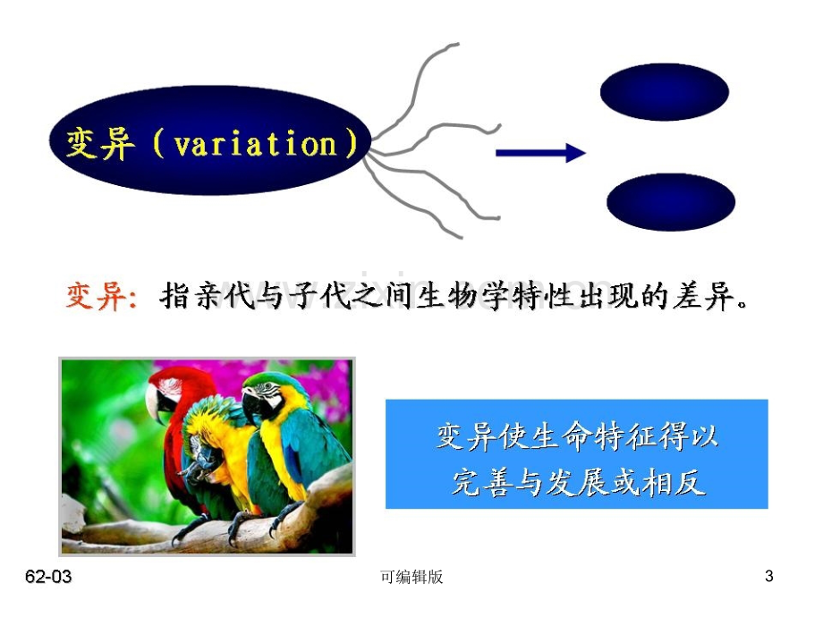 细菌的遗传变异(1).ppt_第3页