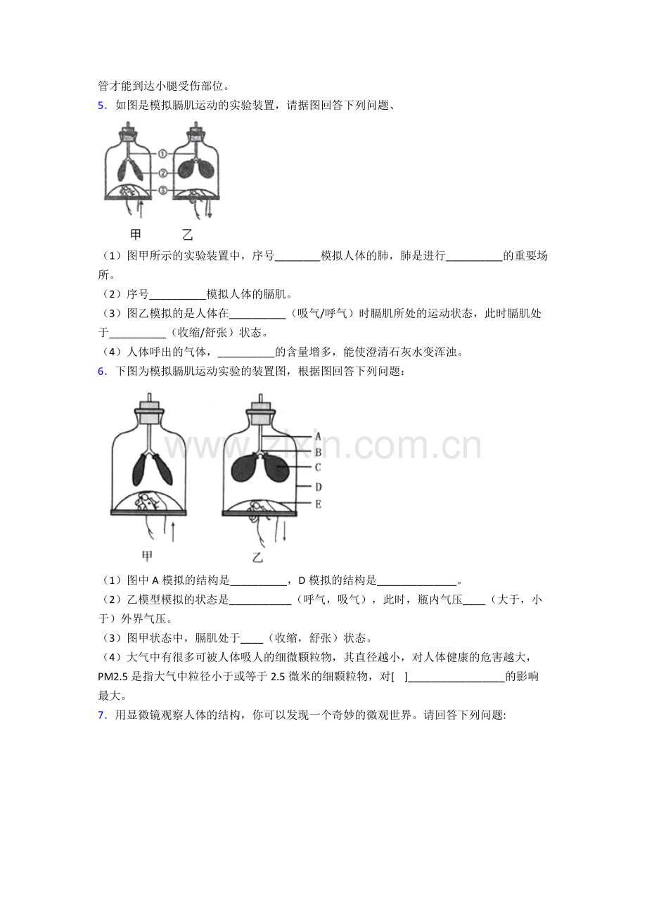 人教版中学七年级下册生物期末解答实验探究大题质量监测卷及解析大全.doc_第3页