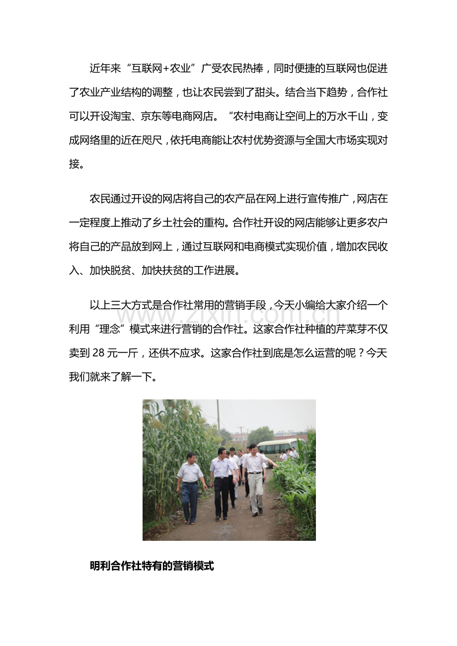 农民合作社营销方案.docx_第2页