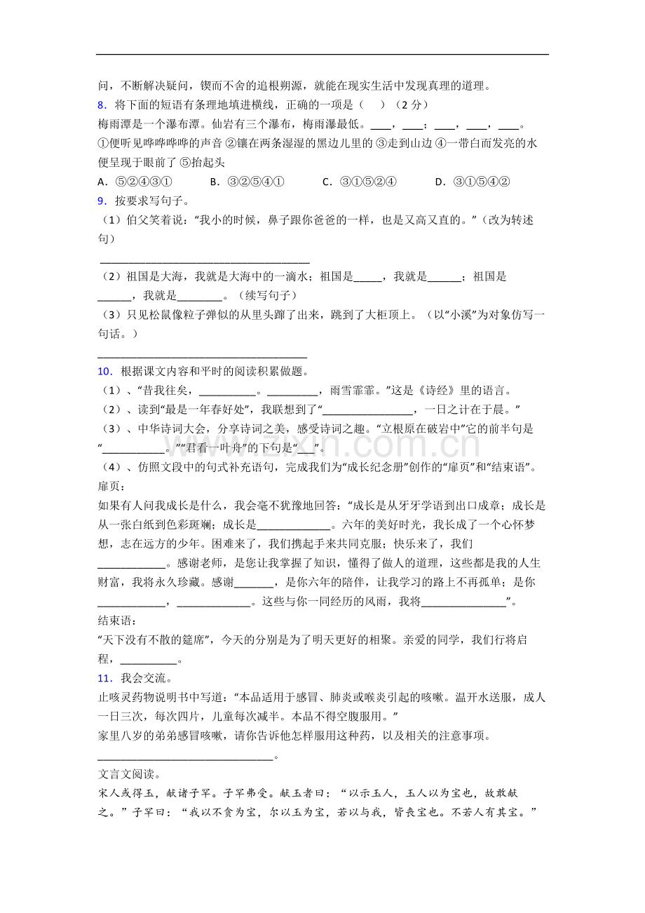 上海市徐汇区实验小学语文六年级小升初期末复习试卷.docx_第2页