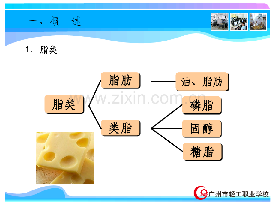 索氏抽提动画测定脂肪含量.ppt_第3页