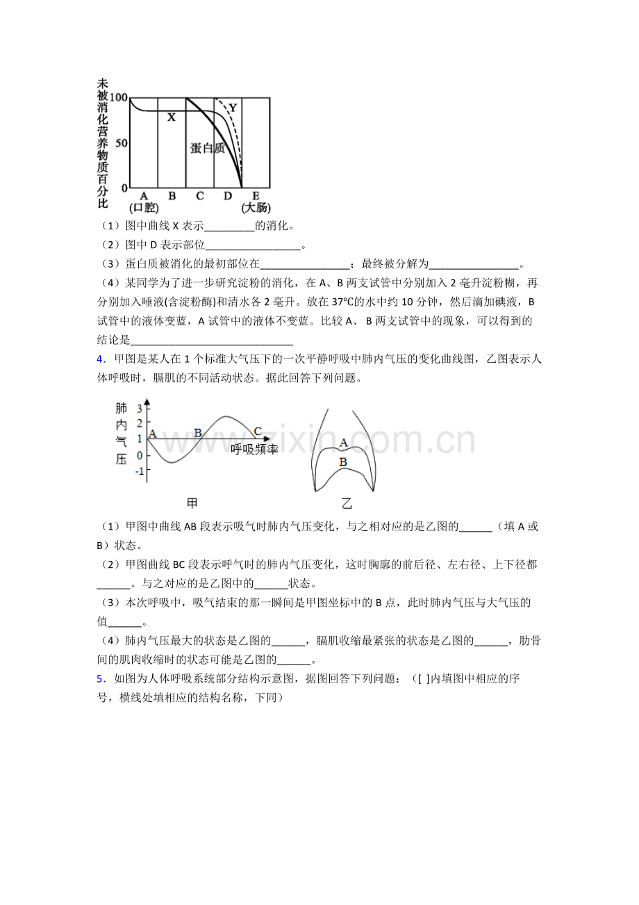 人教版中学初一下册生物期末解答实验探究大题综合复习试卷(附答案)大全.doc_第2页