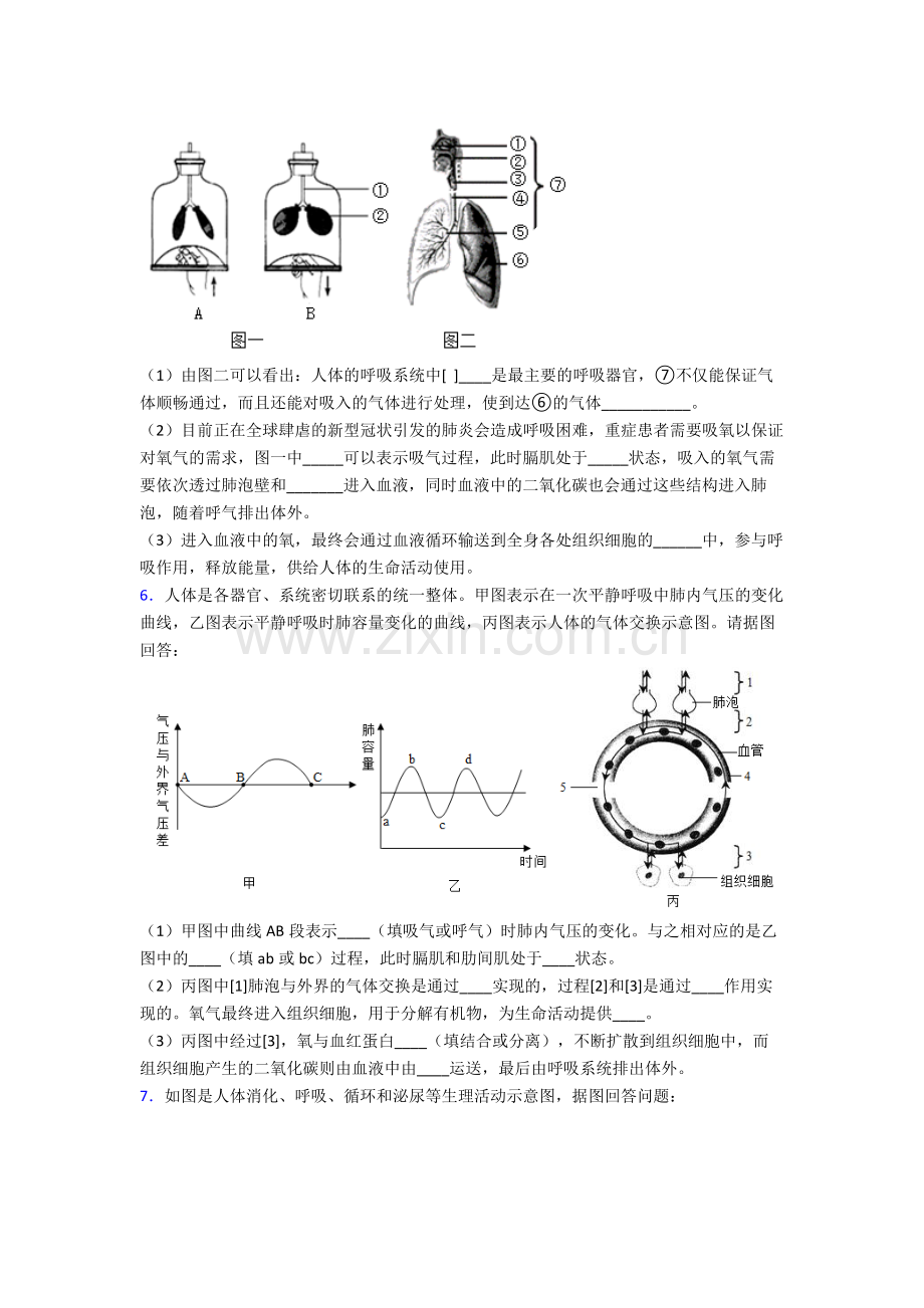 人教版中学初一下册生物期末解答实验探究大题综合复习试卷(附答案)大全.doc_第3页