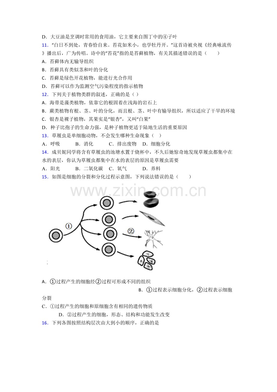 柳州市生物七年级上册期末试卷含答案.doc_第3页