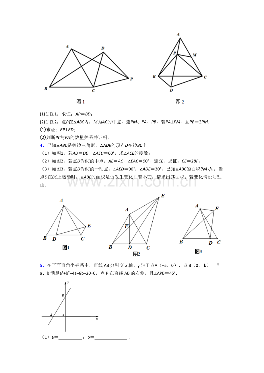 数学初二上学期压轴题强化综合检测试卷含答案[001].doc_第2页