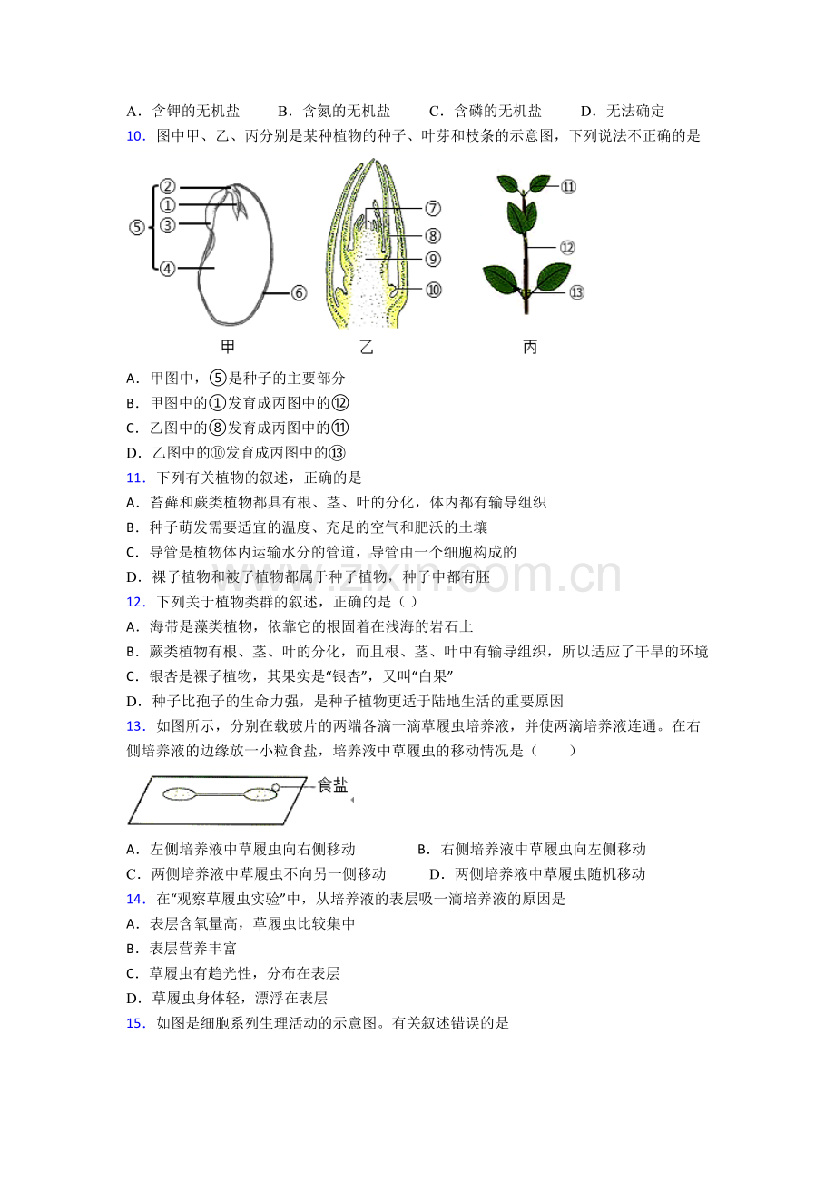 初一上学期期末模拟生物综合试卷含答案-(3).doc_第3页