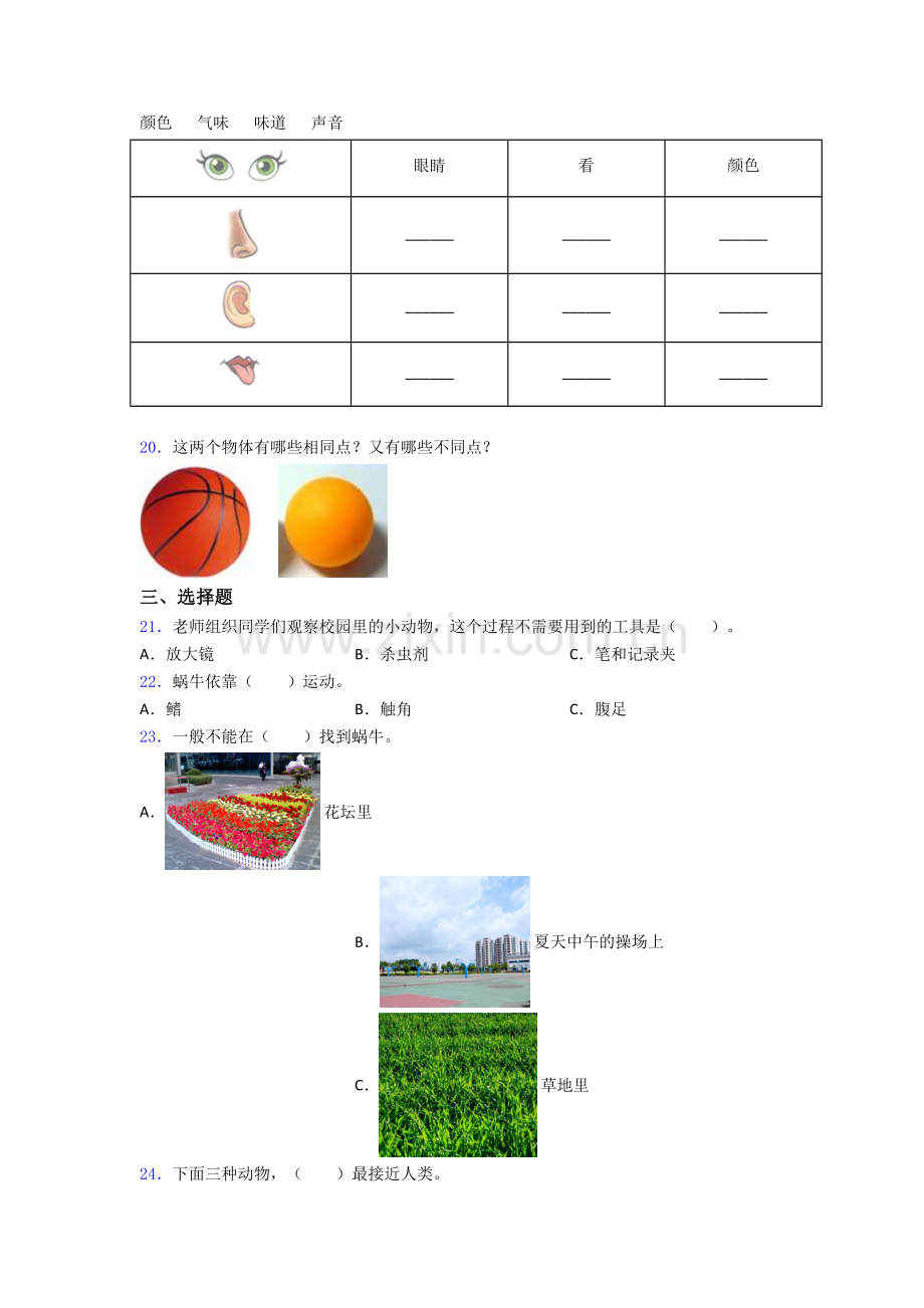 一年级下册宜昌科学期末试卷达标检测(Word版含解析).doc_第3页