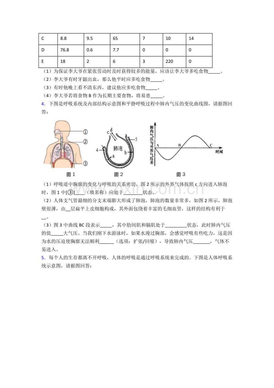 人教版中学七年级生物下册期末解答实验探究大题质量监测卷及解析word.doc_第2页