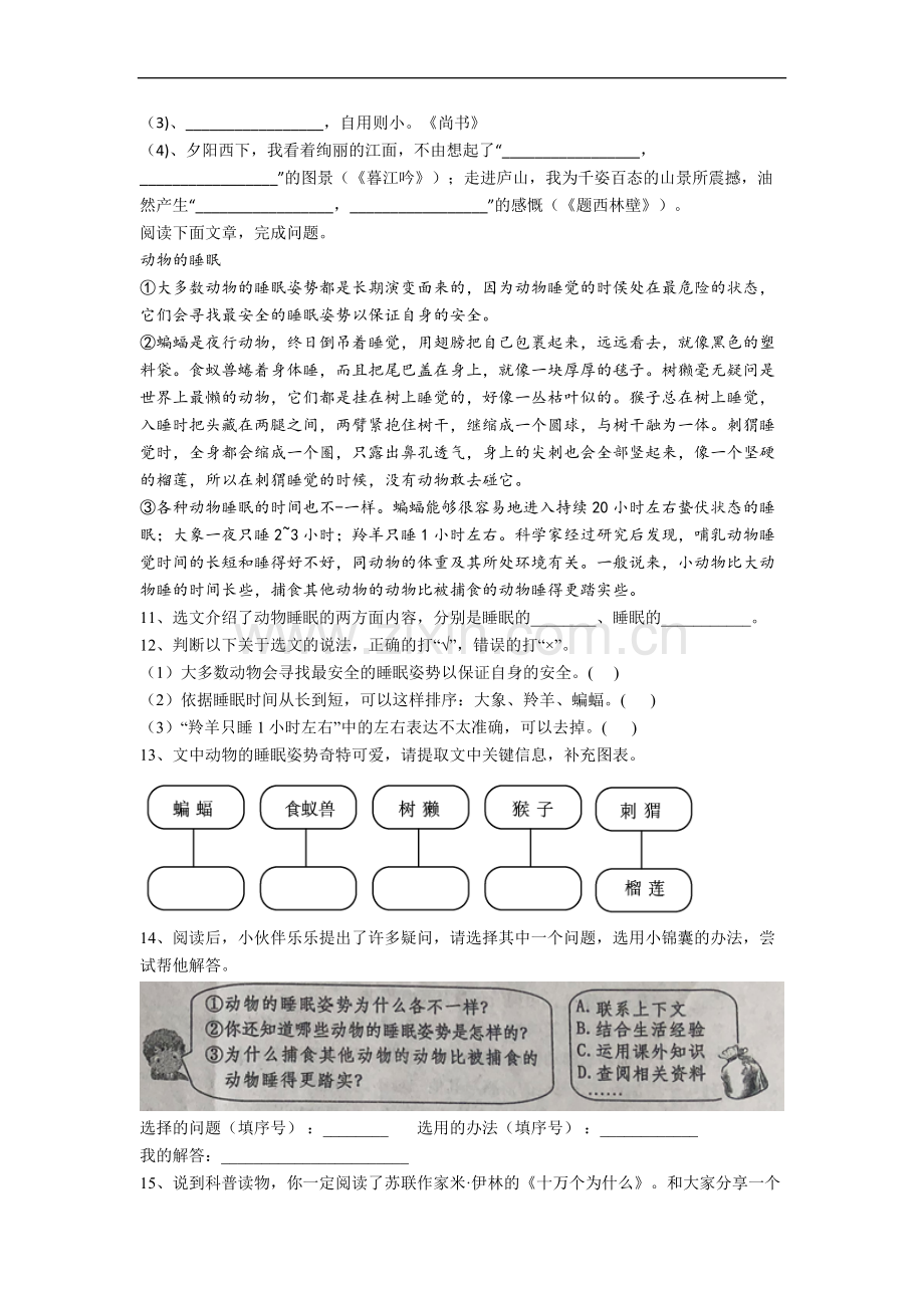 【语文】北京市宏庙小学四年级上册期中复习试题.doc_第2页