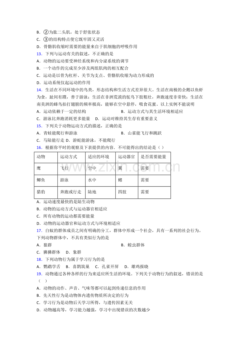 初二上册期末生物检测试卷附解析(一).doc_第3页