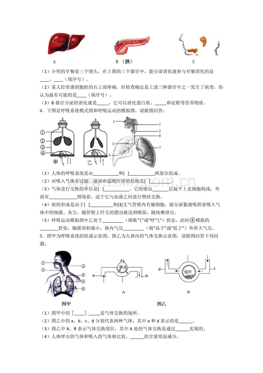 人教版中学初一下册生物期末解答实验探究大题考试试卷及解析word.doc_第2页