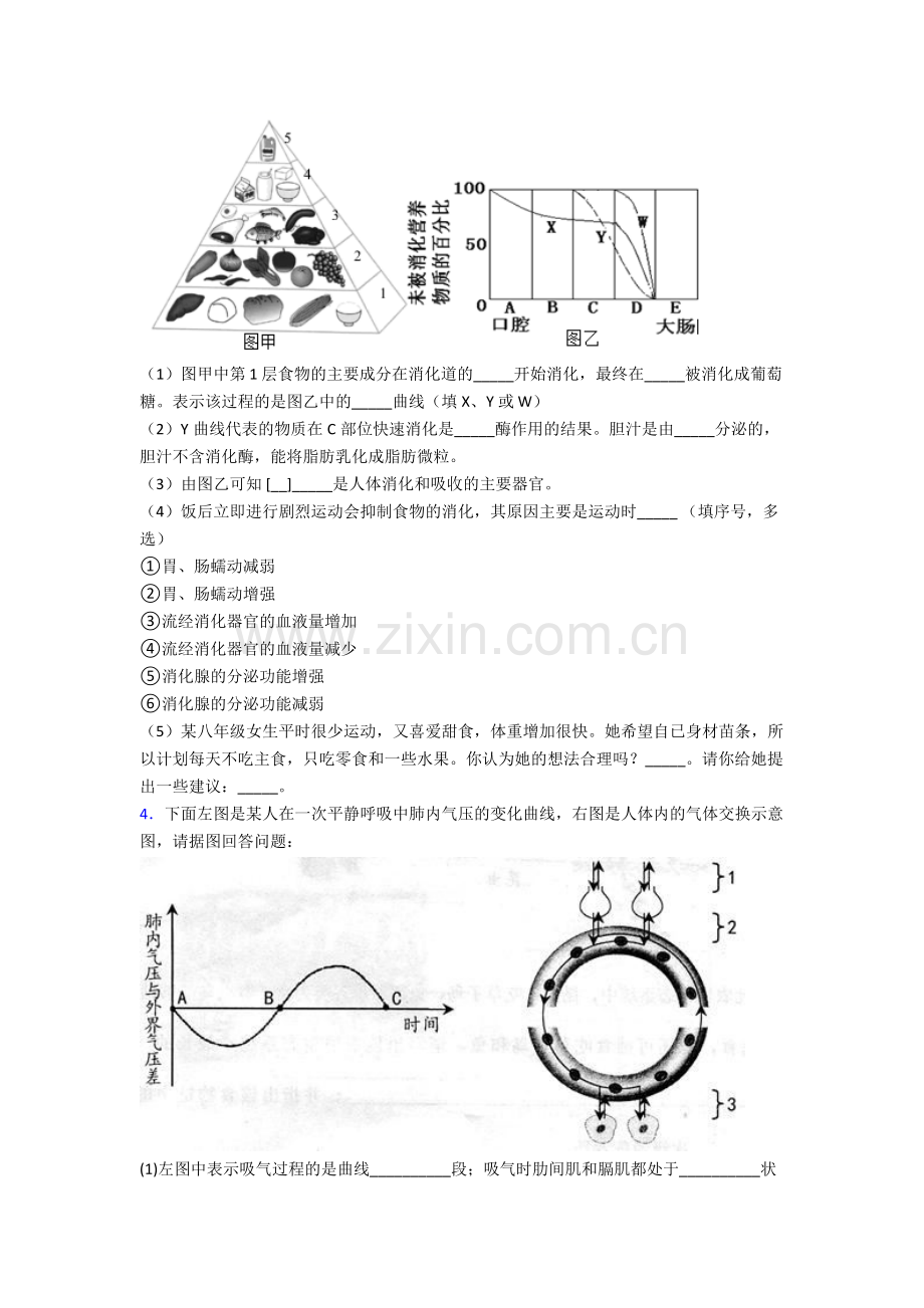 人教版中学初一下册生物期末解答实验探究大题综合复习题附答案.doc_第2页