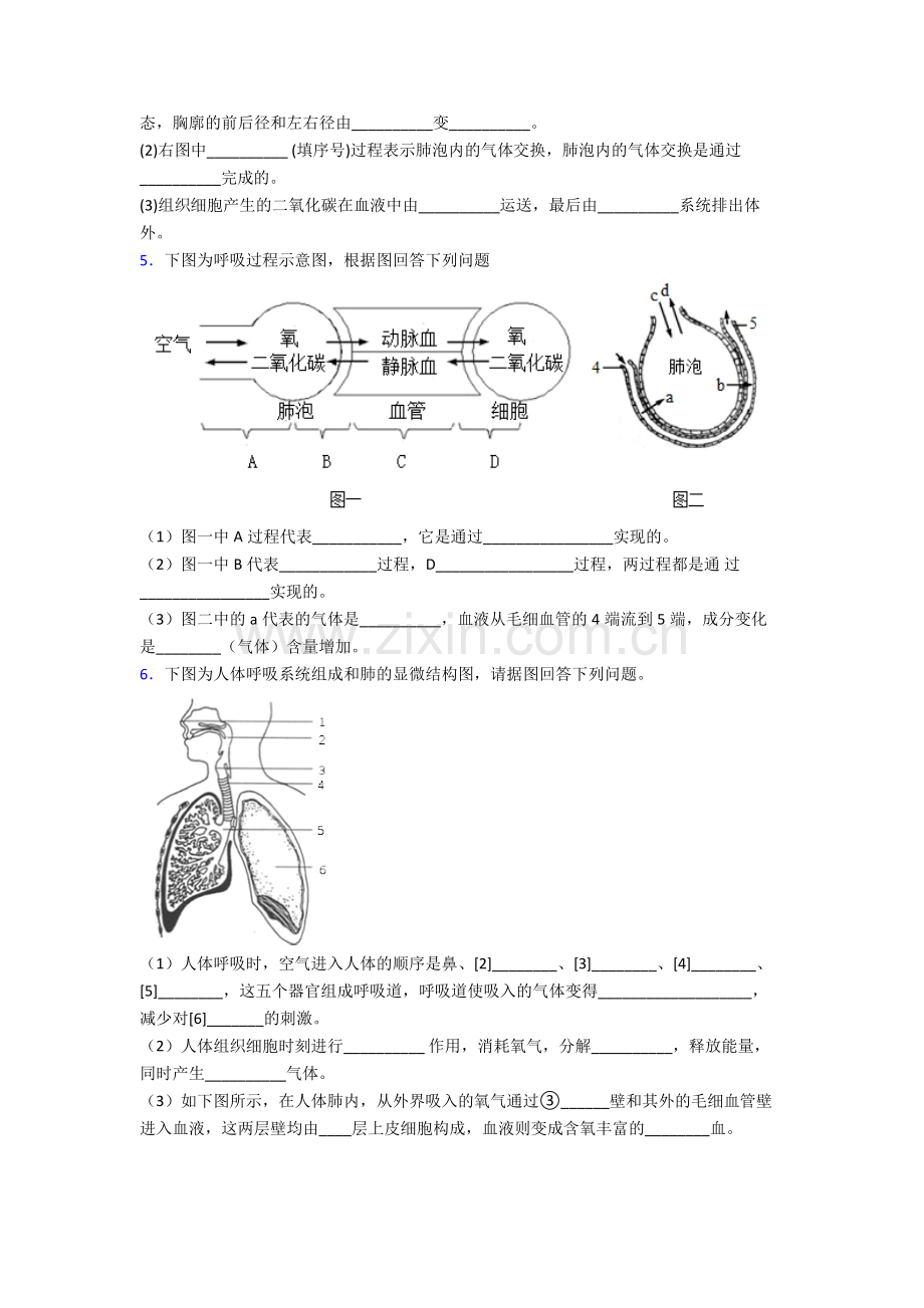 人教版中学初一下册生物期末解答实验探究大题综合复习题附答案.doc_第3页