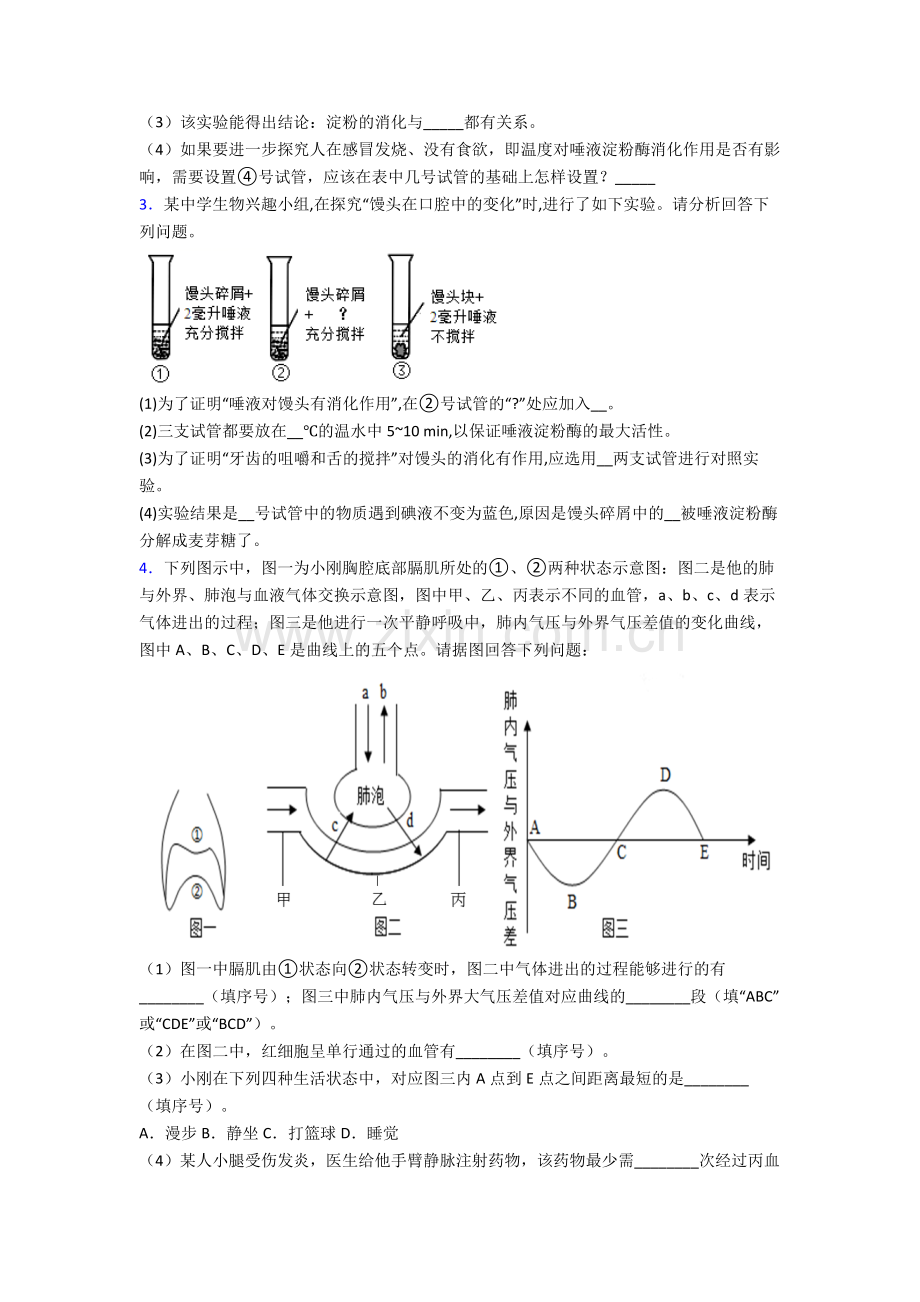 人教中学七年级下册生物期末解答实验探究大题质量检测及答案完整.doc_第2页