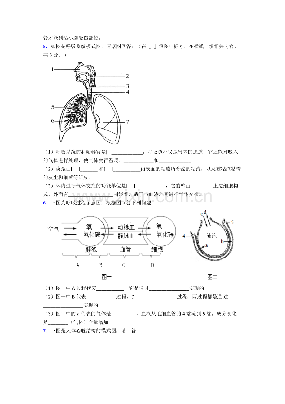 人教中学七年级下册生物期末解答实验探究大题质量检测及答案完整.doc_第3页