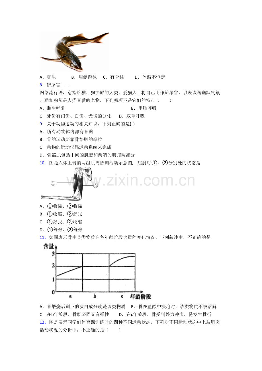 初二上学期期末强化生物检测试卷带答案.doc_第2页