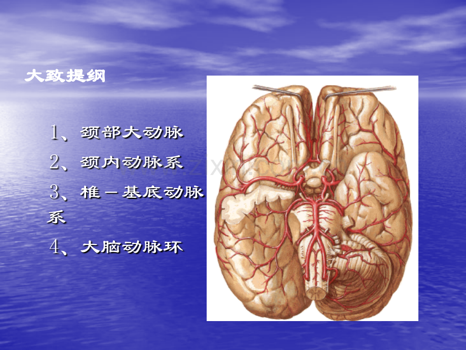 头颈部血管解剖6.ppt_第3页