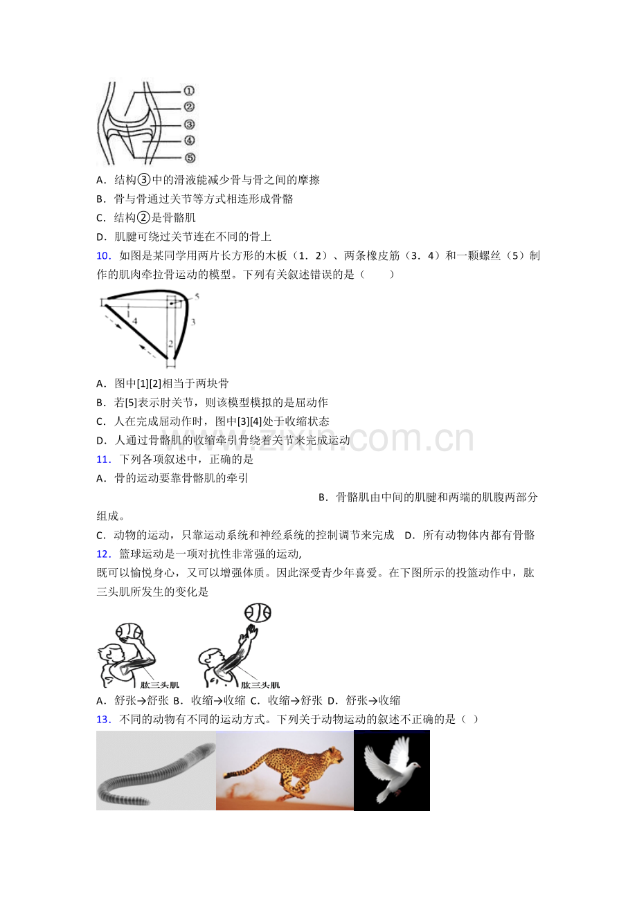 初二生物上册期末质量检测试卷[001].doc_第2页