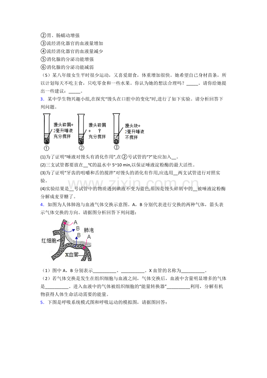 2023年人教版中学初一下册生物期末解答实验探究大题质量监测卷(含解析).doc_第2页