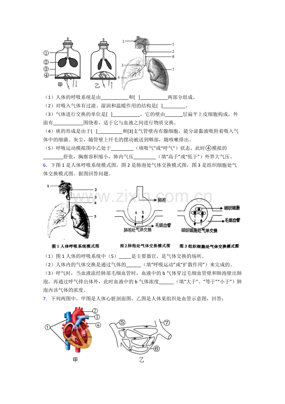 2023年人教版中学初一下册生物期末解答实验探究大题质量监测卷(含解析).doc_第3页