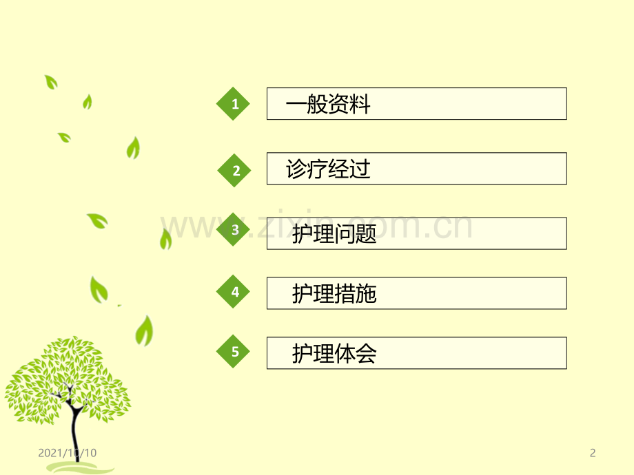 护理个案汇报.ppt_第2页