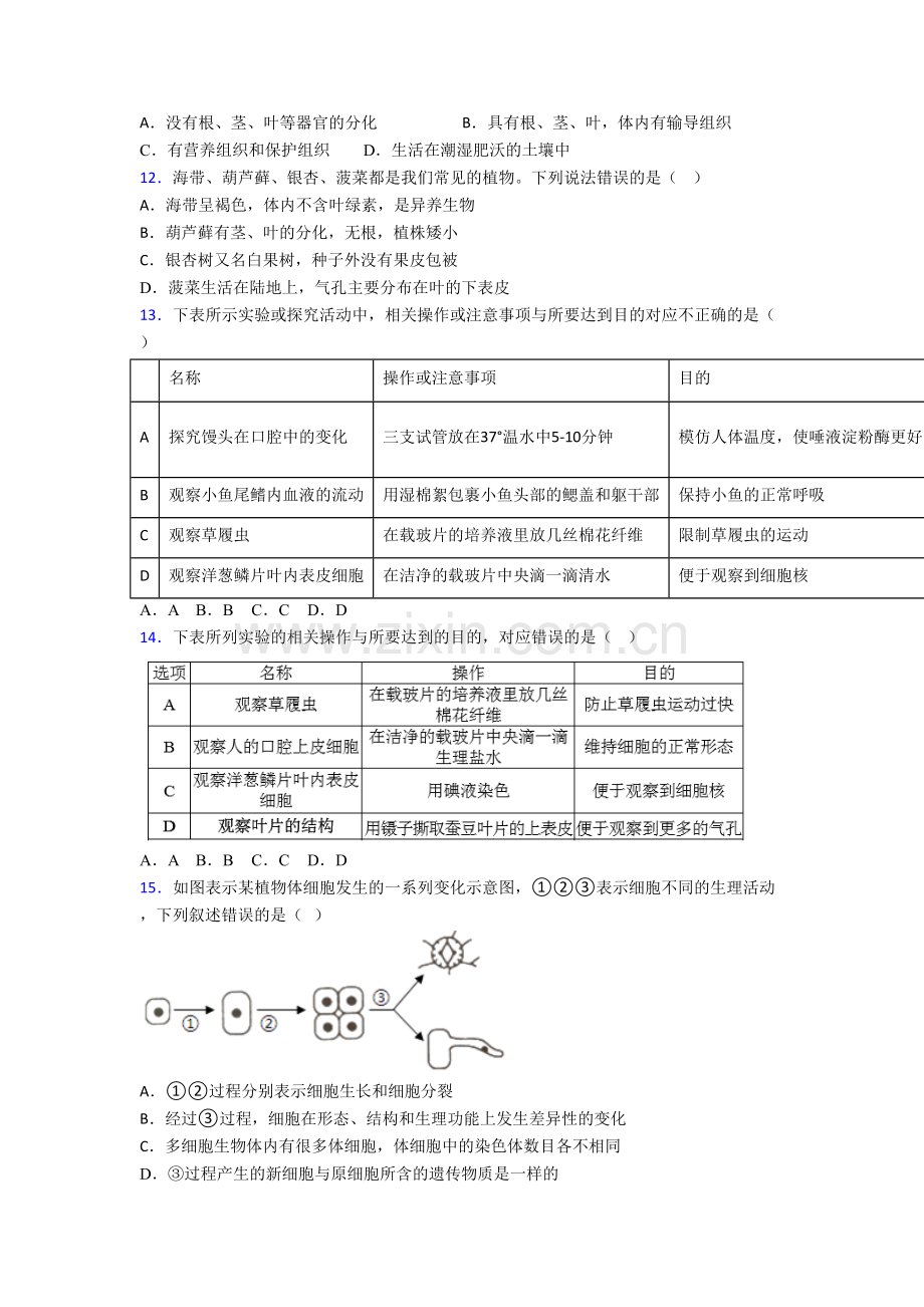 生物七年级上学期期末强化综合检测试卷解析(-).doc_第3页