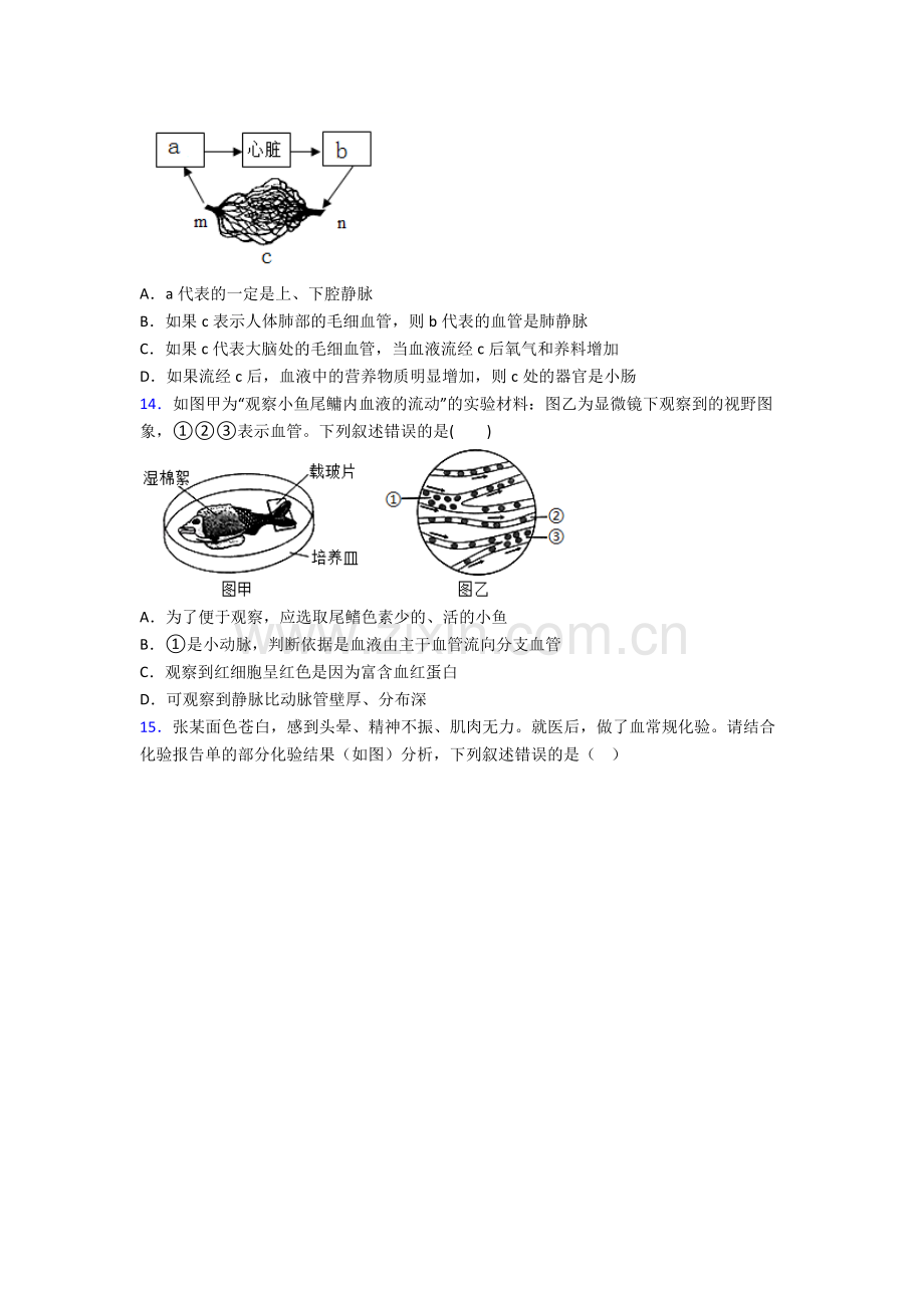 2024年人教版中学初一下册生物期末质量监测试卷(含解析)大全.doc_第3页