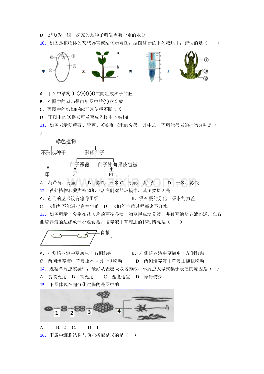 初一上册期末生物质量检测试题答案-(2).doc_第3页