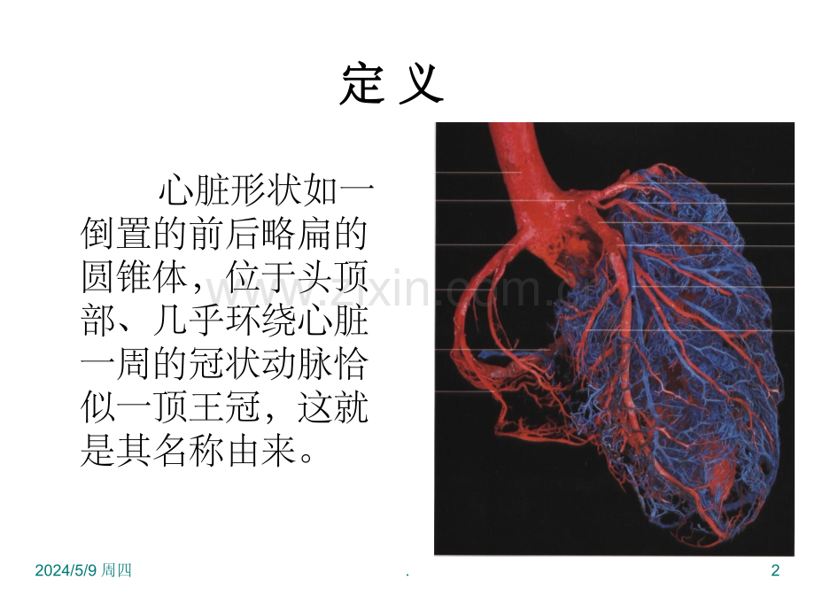 冠状动脉CTA解剖.ppt_第2页