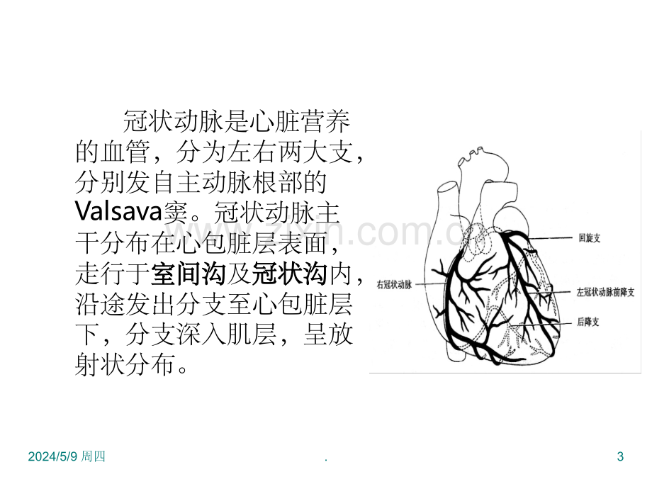 冠状动脉CTA解剖.ppt_第3页