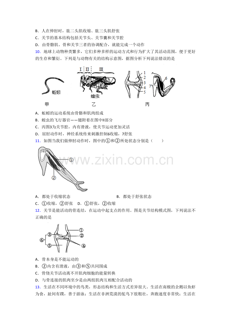 八年级上学期期末强化生物综合检测试题解析(一)[001].doc_第2页