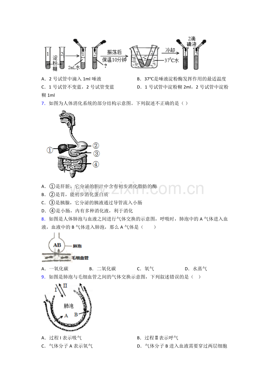 2023年人教版初一下册生物期中学业水平试卷附答案word.doc_第2页