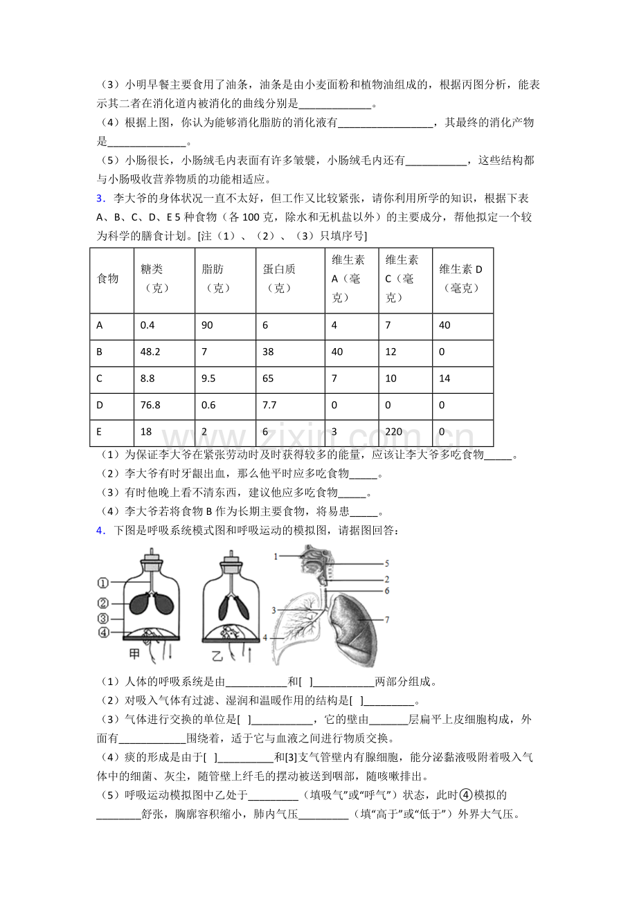 2023年人教版初一下册生物期末解答实验探究大题学业水平题附解析完整.doc_第2页