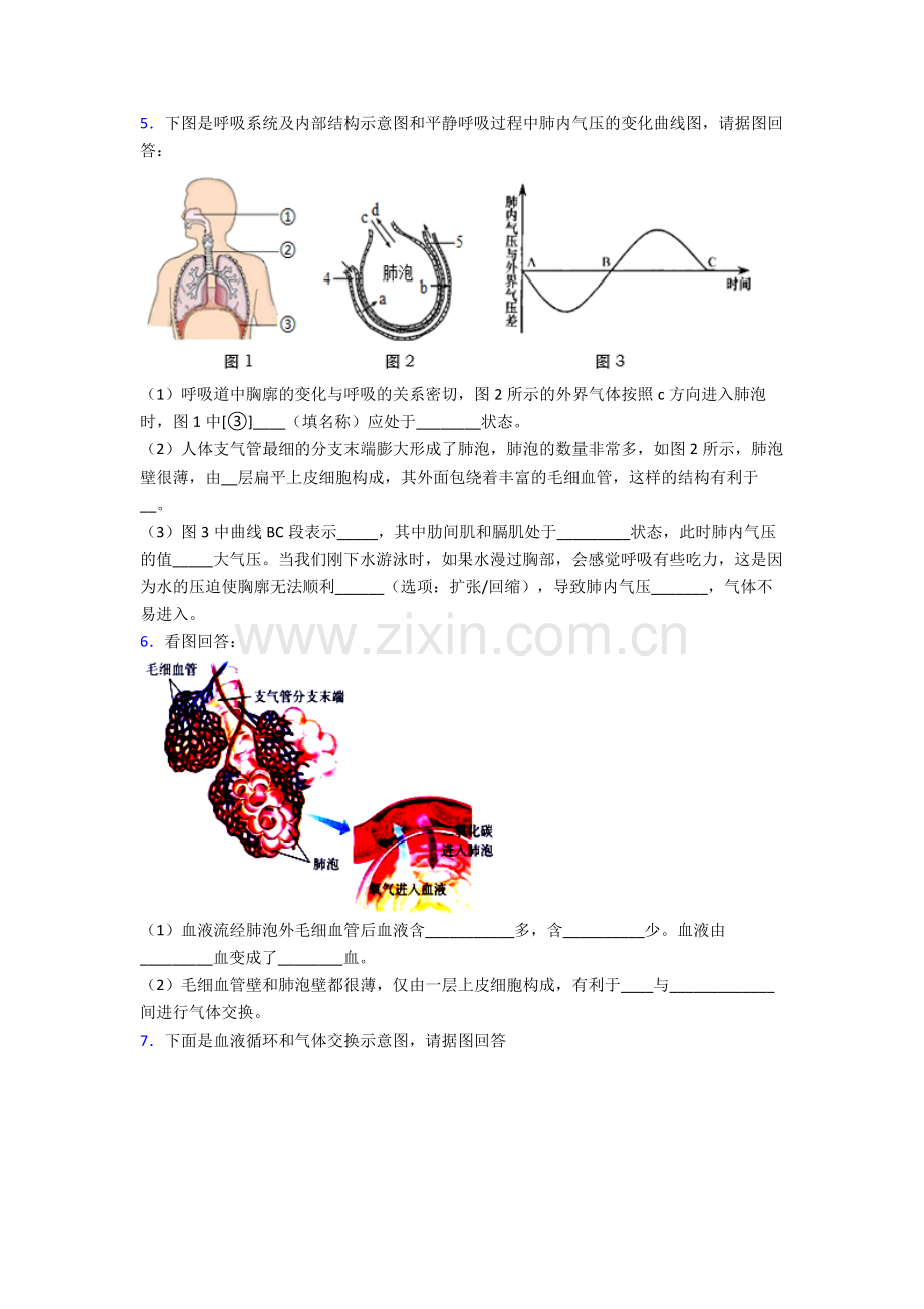 2023年人教版初一下册生物期末解答实验探究大题学业水平题附解析完整.doc_第3页