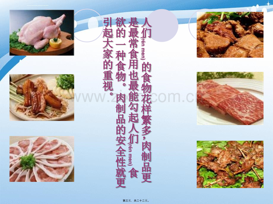 第9章-食品中的兽药残留.ppt_第3页